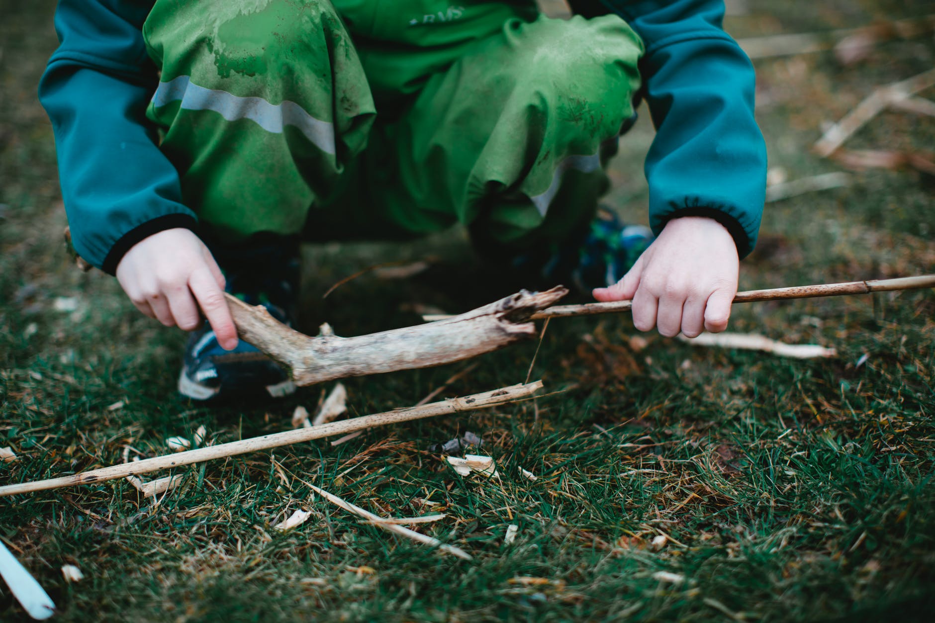 fechar-se crianças mãos aguarde estilingue para tiro plantar sementes para  dentro floresta. conceito, crescendo floresta de tiroteio estilingues com  sementes. alvo alvo, Caçando ou usar estilingue Como armas ou jogar jogos.  22588281